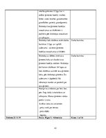 Prakses atskaite 'Prakses atskaite: angļu valodas skolotājs', 42.