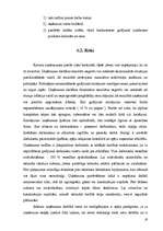 Biznesa plāns 'SIA “Kristāla ezers” ', 19.