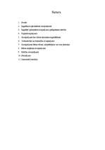 Referāts 'Atvaļinājumu veidi un piešķiršanas kārtība', 2.