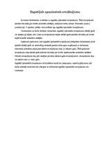 Referāts 'Atvaļinājumu veidi un piešķiršanas kārtība', 4.