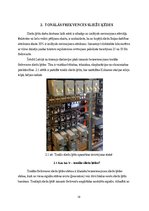 Diplomdarbs 'EBI Track 400 digitālo toņfrekvenču sliežu ķēžu pielietojums dzelzceļa posmu mod', 19.