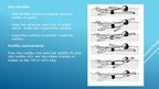 Prezentācija 'Peldēšanas tehnika-krauls uz muguras', 4.