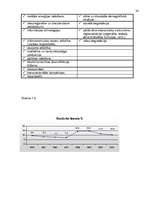 Referāts 'Liepājas ekonomikas raksturojums', 24.