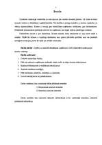 Referāts 'Ēdināšanas uzņēmuma izvēli noteicošie kritēriji no klientu viedokļa', 5.