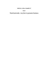 Eseja 'Social Networks - Way to Promote Business', 1.