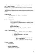 Konspekts 'Socializācija', 4.