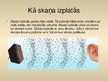 Prezentācija 'Skaņas daudzveidība un tās ietekme uz dzirdi', 4.