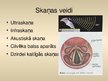Prezentācija 'Skaņas daudzveidība un tās ietekme uz dzirdi', 5.