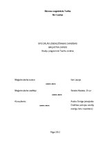 Diplomdarbs 'Speciālās izmeklēšanas darbības', 1.