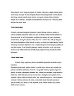 Referāts 'Pūniešu kari', 9.