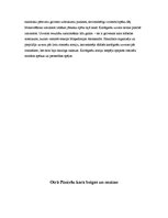 Referāts 'Pūniešu kari', 11.