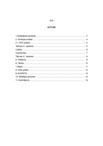 Referāts '"Dod pieci!" mākslas komunikāciju plāns', 2.