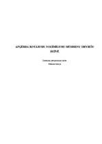 Referāts 'Apģērba rotājumu nozīmīgums mūsdienu sieviešu dzīvē', 1.
