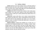 Referāts 'Apģērba rotājumu nozīmīgums mūsdienu sieviešu dzīvē', 8.