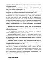 Referāts 'Apģērba rotājumu nozīmīgums mūsdienu sieviešu dzīvē', 13.