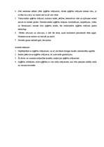 Referāts 'Apģērba rotājumu nozīmīgums mūsdienu sieviešu dzīvē', 22.