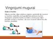 Prezentācija 'Vingrinājumi visam ķermenim', 12.