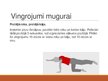 Prezentācija 'Vingrinājumi visam ķermenim', 14.