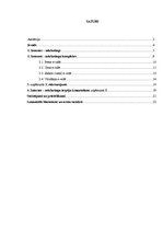 Referāts 'Interneta mārketinga izmantošana uzņēmuma X darbības pilnveidošanai', 2.