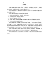 Referāts 'Interneta mārketinga izmantošana uzņēmuma X darbības pilnveidošanai', 3.