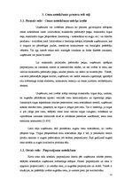 Referāts 'Cenu veidošanas metodes un to izvēle', 12.