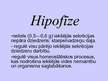 Prezentācija 'Hipofīze', 1.
