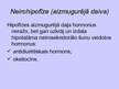 Prezentācija 'Hipofīze', 5.