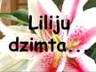 Prezentācija 'Liliju dzimta', 1.