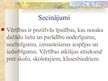 Referāts 'Filosofiskās, psiholoģiskās un pedagoģiskās vērtību teorijas', 21.