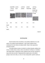 Konspekts 'Atļautā braukšanas ātruma kontroles iespējas, kontroles veidu efektivitāte', 10.