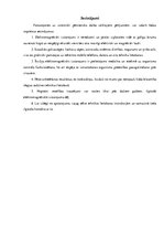 Referāts 'Воздействие электромагнитного излучения на здоровье', 21.