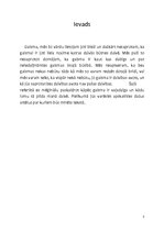 Referāts 'Gaismas nozīme manā dzīvē', 3.