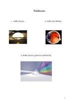 Referāts 'Gaismas nozīme manā dzīvē', 7.