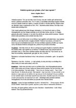 Konspekts 'Estētisks apraksts par grāmatu "Kurš viņus sapratīs?"', 1.