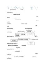 Konspekts 'Psiholoģijas darbi', 3.