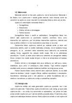 Prakses atskaite 'Prakses atskaite mārketingā', 5.