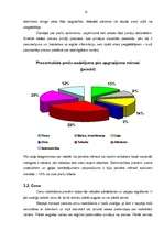 Prakses atskaite 'Prakses atskaite mārketingā', 13.