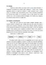 Prakses atskaite 'Prakses atskaite mārketingā', 15.