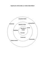 Prakses atskaite 'Prakses atskaite mārketingā', 26.