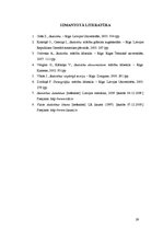 Referāts 'Demogrāfiskā situācija Latvijā', 29.