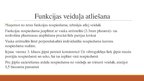 Prezentācija 'Izņemamās parciālās zobu protēzes ar plastmasas bāzi izgatavošanas klīniskie, la', 9.