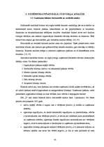 Diplomdarbs 'Investīciju novērtējums inovāciju projektā un to ietekme uz uzņēmuma finansiālās', 40.