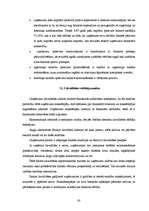 Diplomdarbs 'Investīciju novērtējums inovāciju projektā un to ietekme uz uzņēmuma finansiālās', 43.