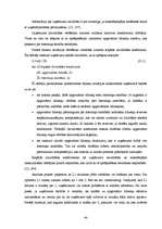 Diplomdarbs 'Investīciju novērtējums inovāciju projektā un to ietekme uz uzņēmuma finansiālās', 44.