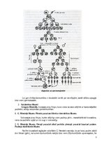 Konspekts 'Ģenētikas teorijas konspekts', 3.