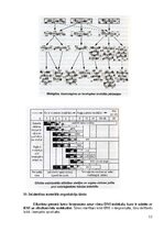 Konspekts 'Ģenētikas teorijas konspekts', 12.