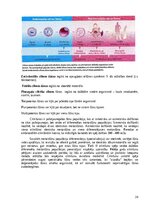 Konspekts 'Ģenētikas teorijas konspekts', 24.