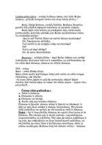 Referāts 'Indijas kultūra', 2.