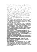 Referāts 'Indijas kultūra', 3.