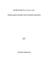 Referāts 'Audriņu pagasta Ančupānu kalnu memoriāla atjaunošana', 1.